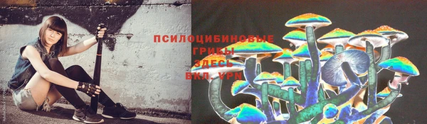 прущая мука Чекалин