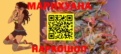 сатива Бийск
