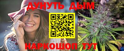 сатива Бийск