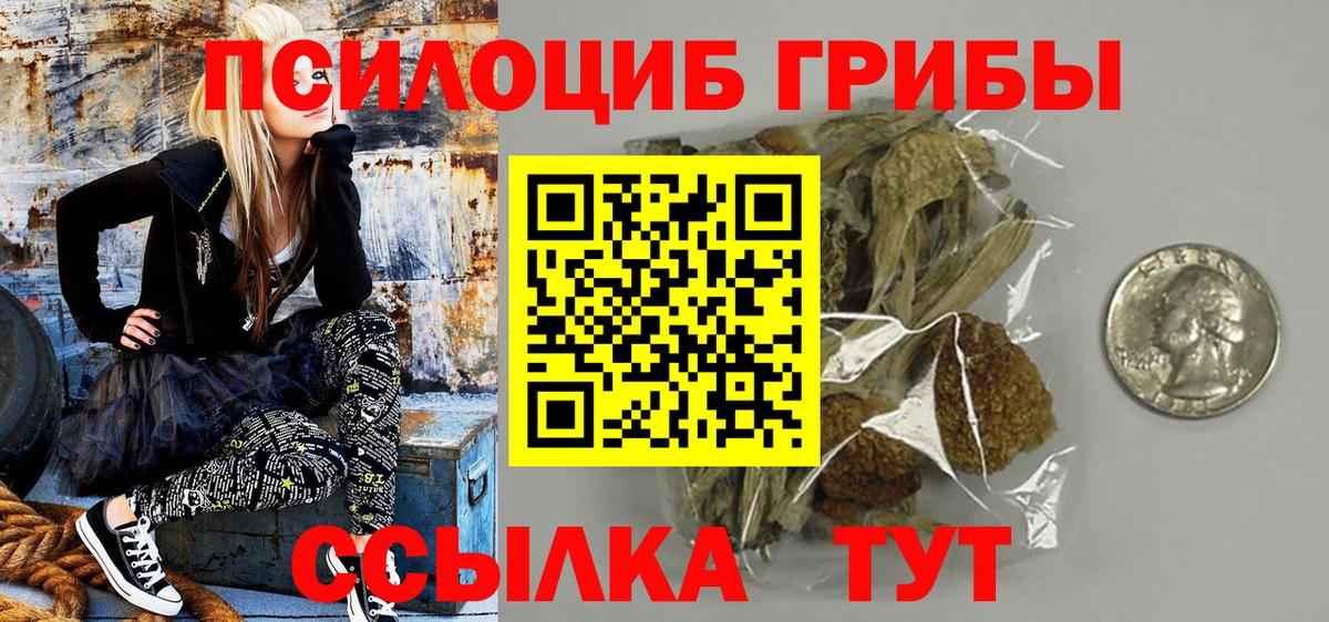 Псилоцибиновые грибы GOLDEN TEACHER  Вход с VPN  Псилоцибиновые грибы Magic Shrooms  даркнет сайт  Богданович 